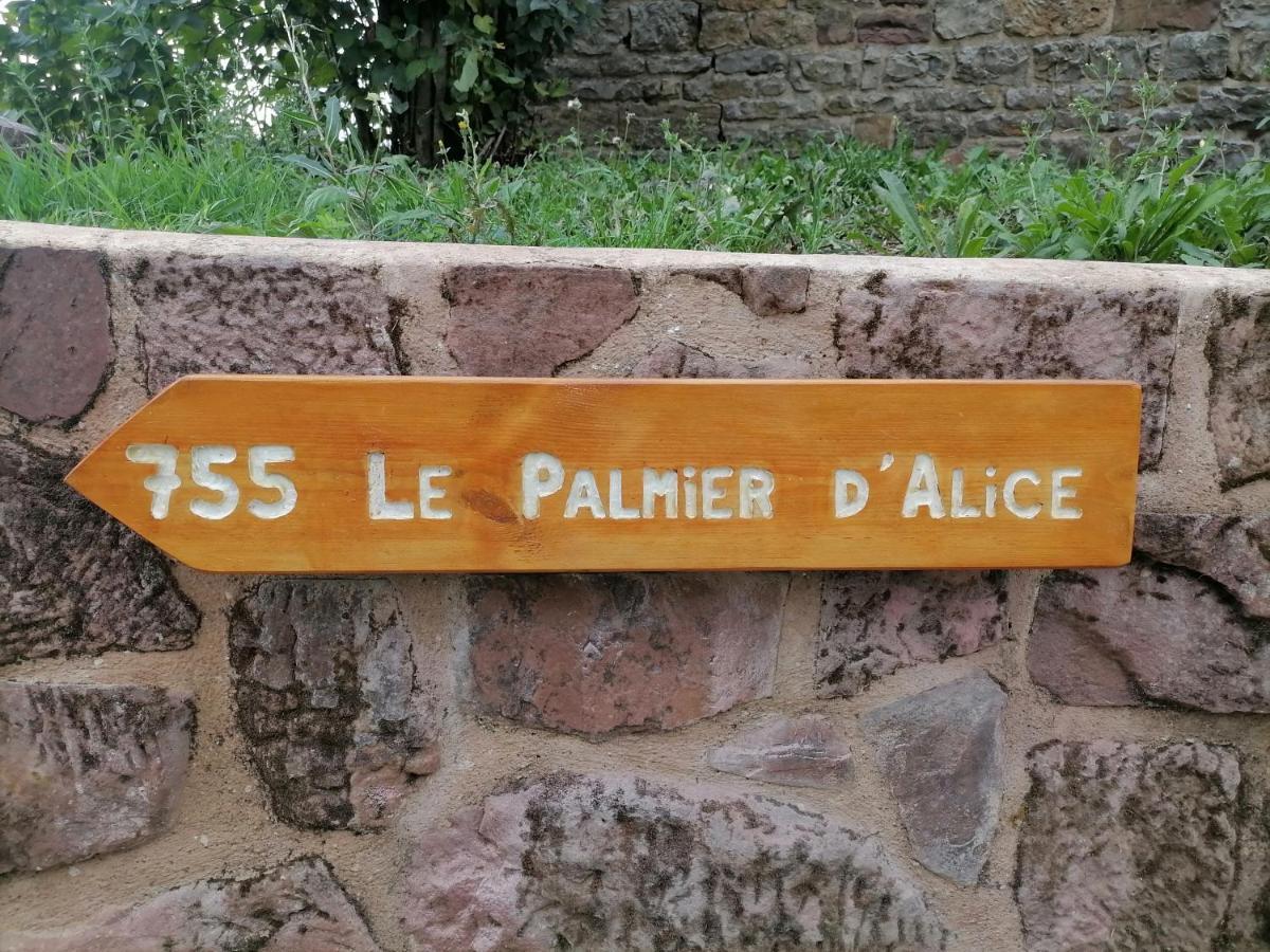 Bed and Breakfast Le Palmier D'Alice Collonges-la-Rouge Exterior foto